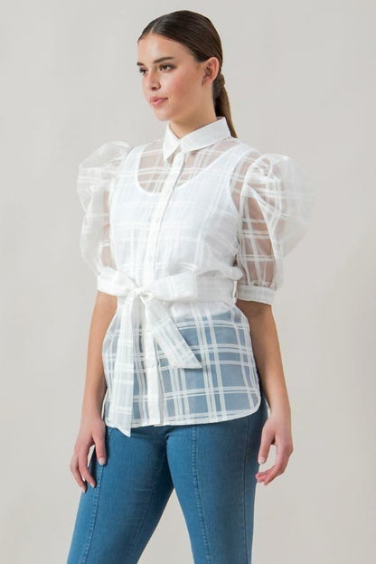 A See-thru Mini Length Organza Top