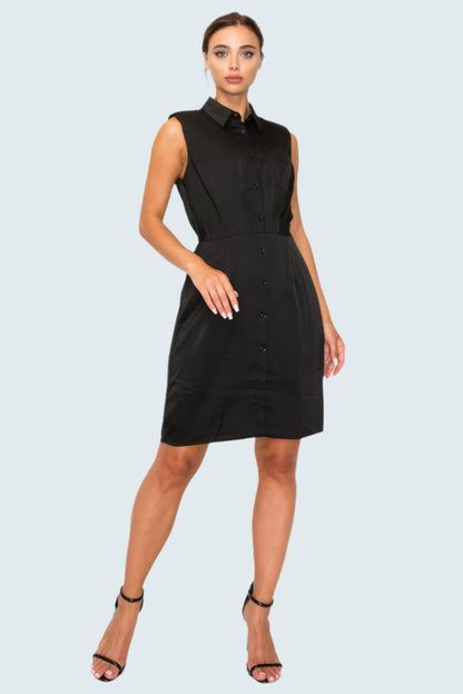 Button-down Pleated Shirt Dress