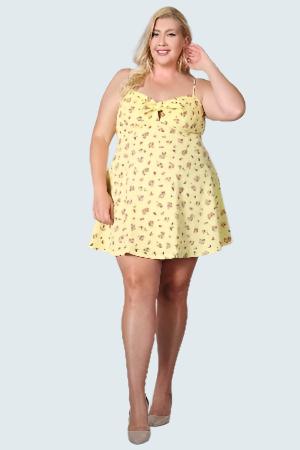 Plus Size Floral Fit And Flare Dress